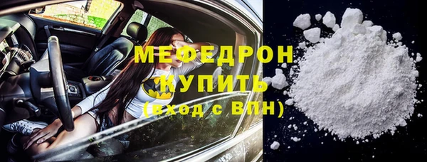 индика Новозыбков