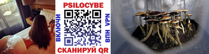 наркошоп Покров Псилоцибиновые грибы мицелий